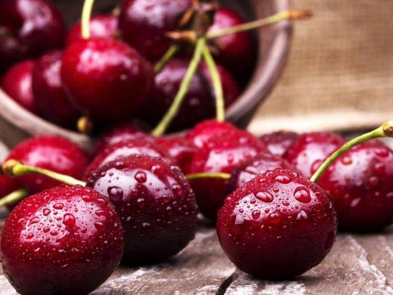 Вишня купить саженцы из питомника в Тамбове